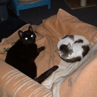 ... aber waren Herz und Seele.